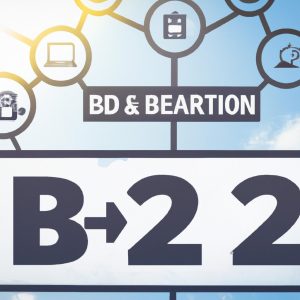 alegere platformă B2B